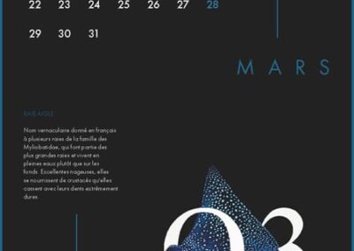 Calendrier Clara Barton 16 Page 04
