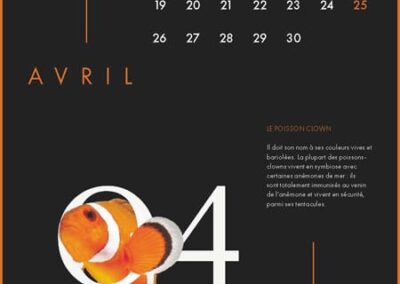 Calendrier Clara Barton 16 Page 05