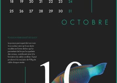 Calendrier Clara Barton 16 Page 11