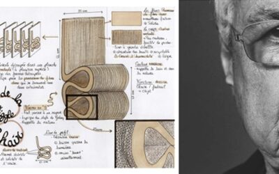Découvrez le travail de Floriane, étudiante en design d’intérieur !